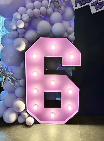 Location numéro 6 lumineux XXL violet et rose — Les Pimp'ettes